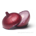 Quality fresh onion vegetables new crop for wholesale